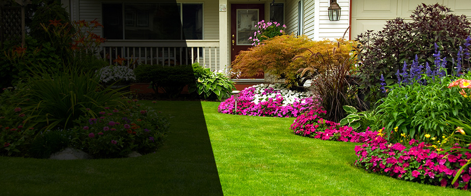 Chipley Landscapers