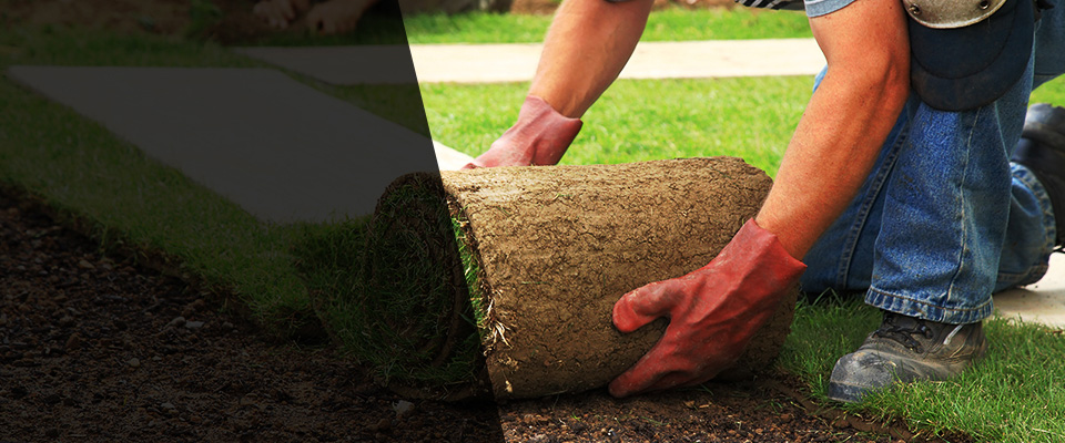Chipley Landscapers